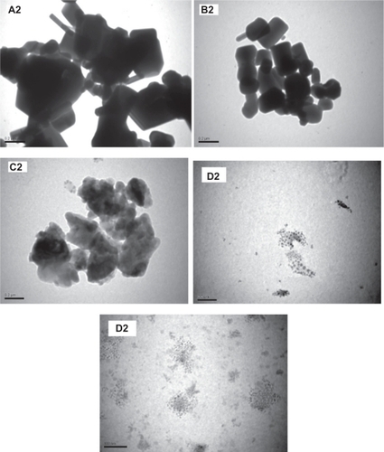 Figure 5 Transmission electron microscope images of ZnO samples before and after milling; (A2) as purchased (B2, C2, D2 and E2) for the samples ball milled for 2, 10, 20, and 50 hours respectively.
