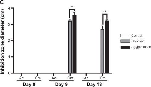 Figure 6 Ag@chitosan anti-fungal effect.Notes: (A) Flow chart of silver nanoparticles’ anti-fungal effect. (B) and (C) the anti-fungal effect of chitosan microspheres and Ag@chitosan. *P<0.05, **P<0.01.Abbreviations: Ag@chitosan, silver nanoparticles–chitosan composite spheres; Cm, C. militaris; Ac, A. cinnamomea; BCRC, Biore source Collection and Research Center.