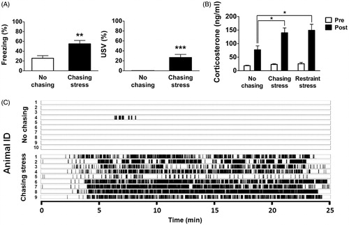 Figure 2. Behavioral and endocrinal responses to chasing in Exp. 1. (A) Freezing and ultrasonic vocalization (USV) responses during the chasing-stress treatment. (B) Changes in plasma corticosterone levels following no chasing, chasing stress, and restraint stress. (C) USVs recorded during the entire training session (approximately 25 min) from all animals used in Exp. 1. Each tick mark indicates one USV call, with a typical duration of 0.5–1.5 s. Note that only one animal in the no-chasing group showed brief bouts of USV compared with all animals in the chasing-stress group. *: p < .05; **: p < .01.