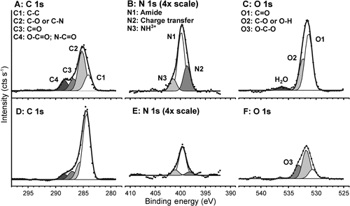 Figure 7. High-resolution X-ray photoelectron spectroscopy of C, N, and O from a barnacle base plate on a glass substratum. XPS detects multiple chemistries in the undisturbed adhesive layer at the periphery (A–C), and the adjacent mineralized region (D–F).