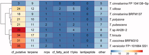 Figure 4. Distribution of biosynthetic gene clusters in nine Trametes strains of Trametes. The distribution of biosynthetic gene clusters in each Trametes strain. The numbers shown in graph represent the counts of different types of biosynthetic gene clusters predicted by antiSMASH for each Trametes strain. Note: cf_putative, putative cluster of unknown type identified with the ClusterFinder algorithm; terpene, terpene cluster; nrps, nonribosomal peptide synthetase cluster; cf_fatty_acid, putative fatty acid cluster identified with the ClusterFinder algorithm; t1pks, type I PKS cluster; lantipeptide, lanthipeptide cluster; other, cluster containing a secondary metabolite-related protein that does not fit into any other category.