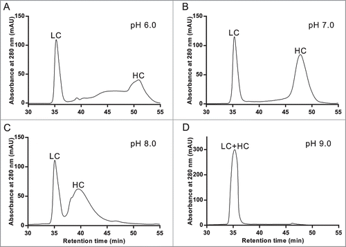 Figure 2. Demonstration of antibody specific optimization of RD-SEC by screening different mobile phase pH's. One hundred milligrams of reduced and denatured mAb-1 was injected into 2 Shodex 802.5 columns pre-equilibrated with 8 M urea, 2 mM DTT, and (A) 10 mM MES, pH 6.0, (B) 10 mM MOPS, pH 7.0, (C) 10 mM MOPS, pH 8.0, and (D) 10 mM HEPES, pH 9.0.