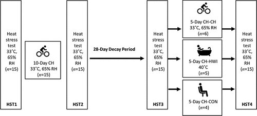 Figure 1. Schematic overview of the study. HST: heat stress test, CH: controlled hyperthermia, CH-CH: heat re-acclimation with controlled hyperthermia, CH-HWI: heat re-acclimation with hot water immersion, CH-CON: heat re-acclimation control group (no heat re-acclimation), RH: relative humidity. Sweat samples were taken during HST1, 2, 3 and 4