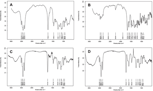 Figure 6 FTIR spectra of PC (A), NUT (B), LIPO0.5 (C), and LIPO0.5-NUT (D).