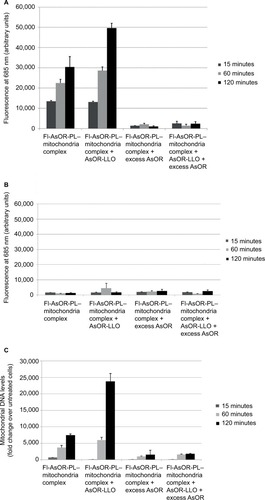 Figure 3 Uptake of Fl-AsOR-PL–mitochondria complexes by Huh7 and SK Hep1 cells in the presence of AsOR-LLO conjugate, as measured by fluorescence and qPCR.