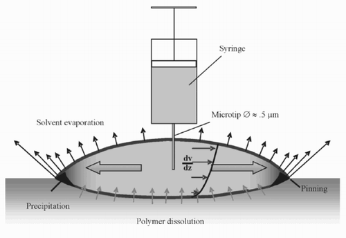 Figure 3. Physical and chemical processes in the evaporating drop.