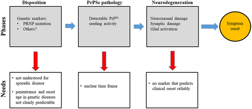 Figure 1. The phases of preclinical prion disease.