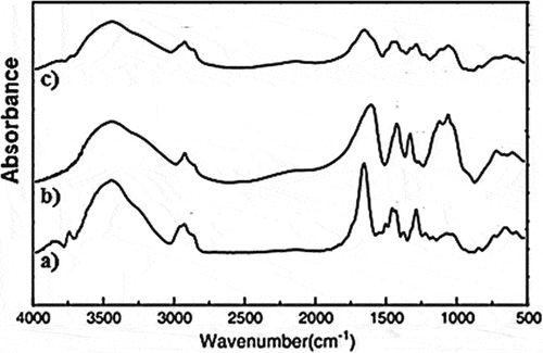 Figure 4. FTIR Spectra of (a) PVP, (b) CMC, and (c) CMC/PVP blend (NC1).