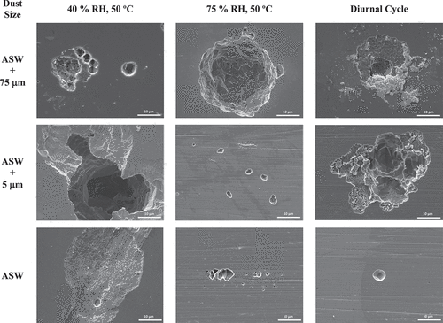 Fig. 13. Post-exposure exemplar SEM images post removal of corrosion products and residual salts and dust. Images display corrosion damage. Note the difference in scale of the 75% RH, 50°C ASW + 75-μm sample.