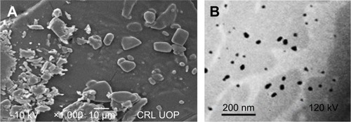 Figure 4 Scanning electron microscopy micrographs for unprocessed Dexi (A) and transmission electron microscopy images of Dexi nanocrystals (B).Abbreviation: Dexi, dexibuprofen.