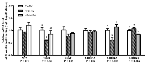 Figure 5. Hypothalamic gene expression of neuropeptide Y (NPY), pro-opiomelanocortin (POMC), brain-derived neurotrophic factor (BNDF) and serotonin receptors (5-HTR1A/2A/2C) of right hypothalamus in male offspring at 29 weeks post-weaning. Diet abbreviations: RV, the AIN-93G diet with the recommended vitamins; HFol, RV+10-fold the folate content. Gestational and pup diets denoted before and after the dash line, respectively. ab Significantly different by one-way ANOVA followed by Tukey’s post-hoc test. Values are mean ± SEM, n = 4–7/group.