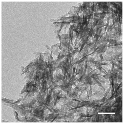 Figure 7 The shape of the crystals was analyzed by TEM. A TEM micrograph of the synthetic HA shows thin platelets of 3–4 nm thick, 20–25 nm wide, and 50–70 nm long.Note: Scale bar = 50 nm.Abbreviations: TEM, transmission electron microscopy; HA, hydroxyapatite.