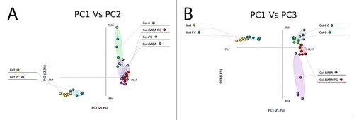 Figure 1. Non-supervised PCA representation of signals obtained from a non targeted analysis by HPLC-QTOFMS to monitor metabolomic changes during fungal invasion. (A) PCA1 vs PCA2 and (B) PCA1 vs PCA3. Three week old seedlings were sprayed inoculated with 10E3 spores.ml−1 of P. cucumerina and samples for analysis were collected 48hpi. Leaf material from 15 individual plants were pooled together for each treatment x genotype combination. Data points represent two technical replicates from three independent experiments injected randomly into the HPLC-QTOFMS. The signals corresponding to different treatments were compared using the non-parametric Kruskal-Wallis test, and only data with a P value lower than 0.01 between groups was used for subsequent processing.