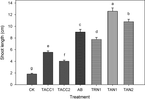 Figure 4. Comparative effectiveness of ACC-deaminase and/or nitrogen-fixing rhizobacteria on shoot length of tomato. Different letters (a–g) on bars indicate significant differences of mean values for shoot length. Bars represent standard errors.CK, control; AB, Azotobacter