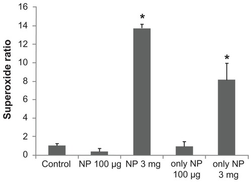 Figure 8 The effect of Fe3O4 NPs on superoxide production in GH3 cells. The experiments were conducted in cells bathed in Ca2+-free Tyrode’s solution. Bar graph showing summary of the effects of Fe3O4 NPs (100 μg/mL and 3 mg/mL) with or without GH3 cells (mean ± standard error of the mean; n = 4–5 for each bar).Note: *Significantly different from control.Abbreviation: Fe3O4 NPs, magnetite nanoparticles.