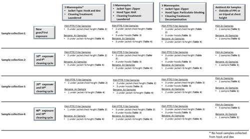 Figure 2. Study design and sample collection strategy.