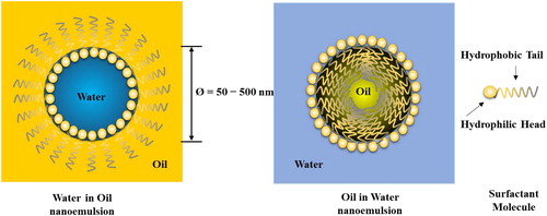 Figure 2. Schematic diagram of water-in-oil (W/O) and oil-in-water (O/W) nanoemulsion consisting of surfactant micelles.