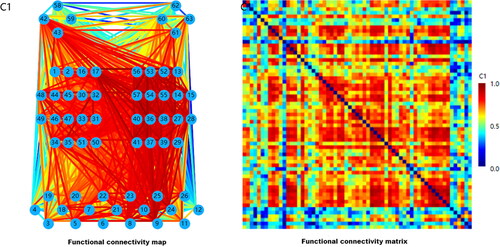Figure 12. Brain functional connectivity mapping and matrices in the resting state.