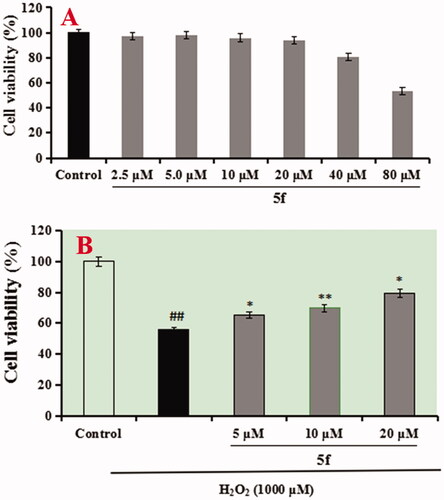 Figure 15. (A) The cell viability of LO2 cell by compound 5f. (B) The protective effect of compound 5f on H2O2-induced hepatic injury, ##p < 0.01 vs control; **p < 0.01, *p < 0.05 vs model group.