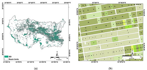 Figure 4. Crop type classification based on beneficiaries’ declarations (BD) for the reference period 2018: (a) Extent within the basin; (b) Enlarged detail near the basin outlet, labeled based on each parcel's crop type (as presented in Table 4).