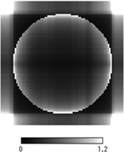 Figure 19 Tomography of the acrylic phantom obtained by using the electric currents measured by 0- and 90-degree scans. The circular shape of the acrylic is given during the image reconstruction process using the ML-EM method