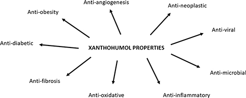 Figure 1 Xanthohumol properties.