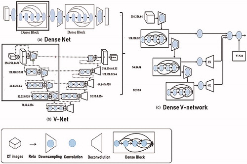 Figure 1. The structure of Networks. (a) Dense Net, (b) V-Net, (c) Dense V-Network.