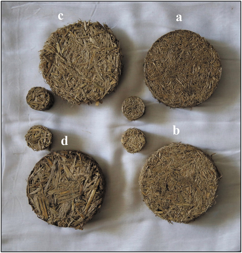 Figure 3. The samples fabricated from SCB waste fibers. (a) sample #1, (b) sample #2, (c) sample #3, (d) sample #4.