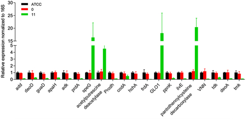 Figure 3 Relative gene expression of different types of bacteria (using 16s as the internal reference).