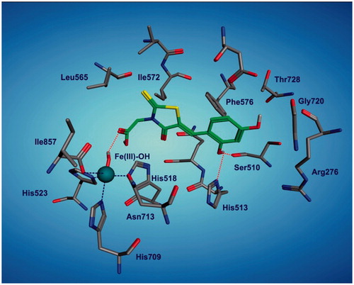 Figure 2. Representation of the best docked pose of 3h in the active site of 15-LOX enzyme. Hydrogen bonds are shown as red-dotted lines and Fe(III) also is shown as ball model. (For interpretation of the references to colour in this caption, the reader is referred to the online version of this article.)