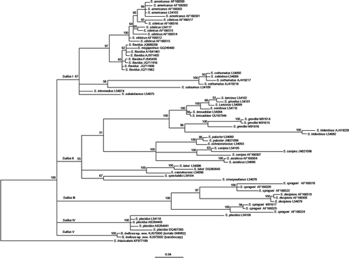 Figure 1. Bayesian tree showing the relationships between the internal transcribed spacer (ITS) sequences derived from the basidiome and isolate SNW02 (indicated in the brackets) of Suillus indicus (shown in bold) and those of related species retrieved from GenBank. Numbers at nodes stand for the posterior probability percentages (>50%) of the Bayesian analysis (outgroup: Suillus triacicularis).