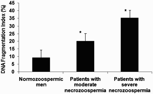 Figure 1.  Results of DNA fragmentation by TUNEL assay in spermatozoa from patients with normal levels of necrozoospermia, moderate necrozoospermia, and severe necrozoospermia (* p value < 0.05 compared to normozoospermic men). Patients with necrozoospermia had a high level of sperm DNA fragmentation compared to normozoospermic men with a statistically significant difference (p value < 0.05). The highest value was found in patients with severe necrozoospermia.