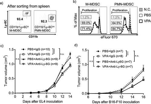 Figure 5. VPA attenuates the immunosuppressive activity of MDSCs in vivo.