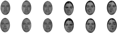 Figure 1. Examples of the Pictures of Facial Affect chimeras, used in previous research (e.g., Workman et al., Citation2006). From left to right faces represent anger, sadness, fear, disgust, happiness and surprise.