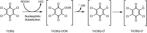 Figure 13. Proposed mechanism for •OH production by tetrachloro-1,4-benzoquinone (TCBQ) and organic hydroperoxides (ROOH), forming a trichlorohydroperoxyl-1,4-benzoquinone (TrCBQ-OOH) intermediate, which can decompose homolytically to produce the •OH and the trichloro-hydroxy-1,4-benzoquinone radical (TrCBQ-O•).