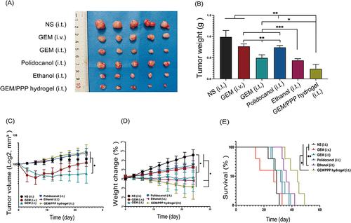 Figure 7 The anti-tumor efficiency of different groups in vivo. (A) The photograph of excised tumors on day 25 post-treatment. (B) Tumor weight of excised tumors. A significant difference was observed in the Tamhane’s T2 test. (C) Tumor growth curves of the mice during treatments. A significant difference was observed in the median test. (D) Body weight changes curves of the mice during treatments. A significant difference was observed in the LSD post-hoc test. (E) Survival curves of mice in different groups. A significant difference was observed in the log-rank survival analysis. ***P < 0.001, **P < 0.01, *P < 0.05.