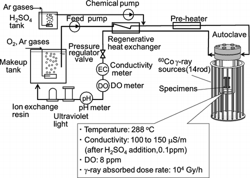 Figure 2. Experimental setup for CC tests under the γ-ray irradiation conditions.