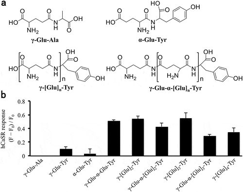 Figure 1. Chemical structures and hCaSR responses of γ-glutamyl peptides.