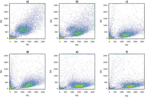 Figure 3. Dot plots of SSC versus FSC values of B. cinerea conidia exposed to aqueous ozone treatments at different concentration and times. (a) control; (b) 2.5 mg O3L−1- 2 min; (c) 2.5 mg O3L−1- 4 min; (d) 4.2 mg O3L−1- 2 min; (e) 4.2 mg O3L−1- 4 min; (f) 4.2 mg O3L−1- 10 min.