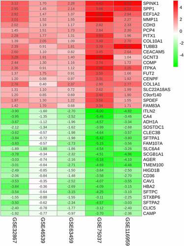 Figure 2. The RRA-based identification of potent DEGs. Heatmap showing the 20 most significantly up-regulated and down-regulated DEGs identified from the GEO series. The rows and columns stand for DEGs and datasets, respectively. The change in color from red to green indicated the change from up-regulation to down-regulation. Numbers within the box are the logarithmic FCs