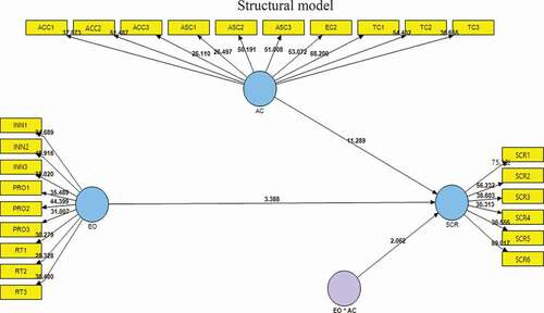 Figure 3. Structural model