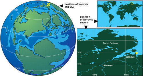 Fig. 1  Palaeogeographic and geographic position of the Nordvik section.