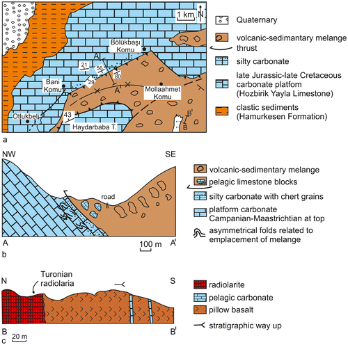 Figure 31. Highest stratigraphical levels of the Eurasian margin carbonate platform and overlying volcanic-sedimentary melange (near Otlukbeli, W of Bayburt; (a) Outline geological map (modified from Bozkuş & Yılmaz, Citationl993); (b) Cross-section A–A′. The highest stratigraphical levels of the platform are dated here as Campanian–Maastrichtian using planktic foraminifera; (c) Dismembered thrust sheet (large block) within the volcanic-sedimentary melange in the SE of the area (B–B′). (see Figure 3; compiled from Korkmaz & Baki, Citationl984, Özer, l984 and this study).