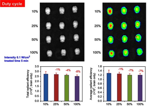 Figure 5 Investigation of various duty cycle from 10% to 100% at 0.1 W/cm2 of intensity for 5 mins. Fluorescence from Cy5.5 was detected and normalized by IVIS. Comparisons of the duty cycle were against the 10% using Student’s t-test (n=3). *P<0.05 and **P<0.005.Abbreviation: IVIS, in vivo imaging system.