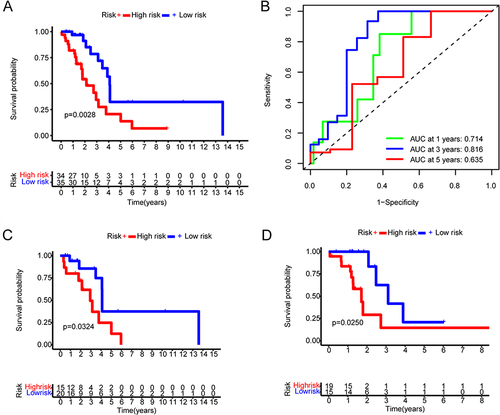 Figure 10 Prognostic risk model in non-smoking females with lung adenocarcinoma. (A) Kaplan–Meier survival curve display the overall survival of non-smoking females with lung adenocarcinoma according to the median cutoff value of risk score in all-dataset. (B) Time-dependent receiver operating characteristic curves (ROC) assess the prognosis of the prognostic model at 1, 3, and 5 years. (C) Kaplan–Meier survival curve display the overall survival of non-smoking females with lung adenocarcinoma according to the median cutoff value of risk score in train-dataset. (D) Kaplan–Meier survival curve display the overall survival of non-smoking females with lung adenocarcinoma according to the median cutoff value of risk score in test-dataset.