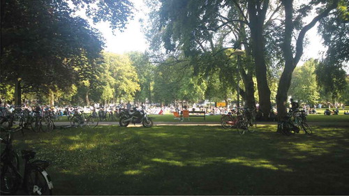 Figure 2. The big lawn is the busiest part of the park