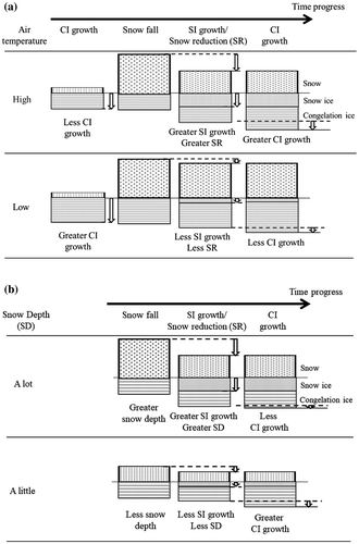 Fig. 6. Schematic pictures showing the effect of snow and snow ice formation on the lake ice thickness for (a) the same snow amount and different air temperatures (cited from Ohata et al., Citation2016), and (b) different snow amounts and the same air temperature.