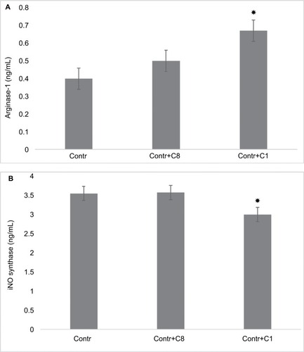 Figure 2 Changing arginase-1 and iNOS expressions by action of C8 and C1 isomers in RAW 264.7 macrophages.Notes: (A) Arginase-1 expression: RAW 264.7 cells (5–105 cells per well) were treated for 24 hours with MBP C8 and C1 isomers, followed by the determination of arginase-1 expression as described in the “Methods” section. (B) iNOS expression: RAW 264.7 cells (5–105 cells per well) were treated for 24 hours with MBP C8 and C1 isomers, followed by the determination of iNOS expression as described in the “Methods” section. Data represented are mean ± SEM of results from four separate experiments performed in duplicate. *P<0.05 vs corresponding control cells.Abbreviations: Contr, control; iNOS, inducible nitric oxide synthase; MBP, myelin basic protein; SEM, standard error of mean.