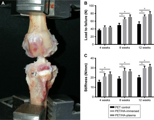 Figure 3 Biomechanical tests of the harvest samples.Notes: (A) Harvested sample experiencing biomechanical tests. (B) Statistical analysis of ultimate load to failure of the samples at different times. (C) Statistical analysis of stiffness of the samples at different times. *p<0.01.Abbreviations: PET, polyethylene terephthalate; HA, hydroxyapatite.