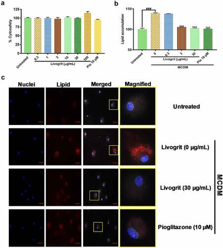 Figure 2. Effect of Livogrit on development of NASH on monolayer culture of rat primary hepatocyte. (a) Cytosafety analysis (72 h) post Livogrit (0–100 µg/mL) and Pioglitazone (10 µM) treatment, as determined by Alamar blue assay (Ex 560/Em 590 nm). (b) Intracellular lipid accumulation (72 h) post incubation in MCDM with treatment of Livogrit (0, 0.3, 3, 30 µg/mL) and Pioglitazone (10 µM), as determined by Nile red stain (Ex 530/Em 600 nm) fluorescence measurement. (c) Fluorescent microscopy images of Hoechst 33342 (DAPI) and LipidSpot 610 (Cy5) stained rat primary hepatocytes post (72 h) incubation in MCDM with treatment of Livogrit (0, 30 µg/mL) and Pioglitazone (10 µM). Scale bar = 20 µm.